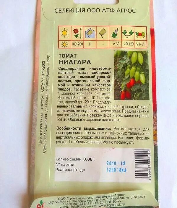 Сорт томатов ниагара отзывы фото. Семена томатов ниагара. томат ниагара агрос. сорт помидор ниагара. помидоры ниагара описание сорта.