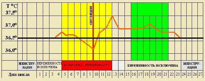 Безопасные дни цикла. Ктнла можно забеременеть. Менструальный цикл безопасные дни. График вероятности забеременеть. Овуляция при 30 дневном