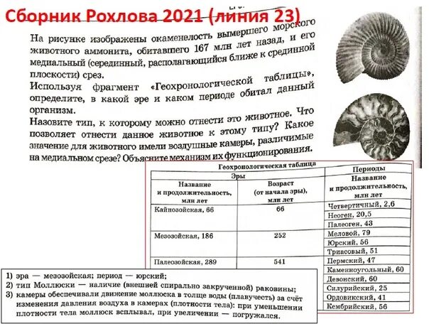 Рохлов 1 вариант. Рохлов сборник. рохлов егэ. сборник егэ рохлов. задания из рохлова.