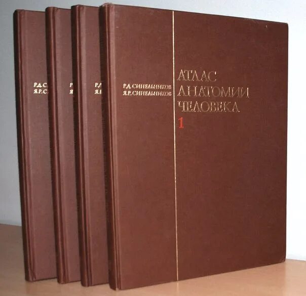 Синельников атлас 4 том. Атлас анатомии человека р.д. синельникова в 4 томах. атлас анатомии человека синельников 1989 в 2 томах. анатомический атлас 4 тома.
