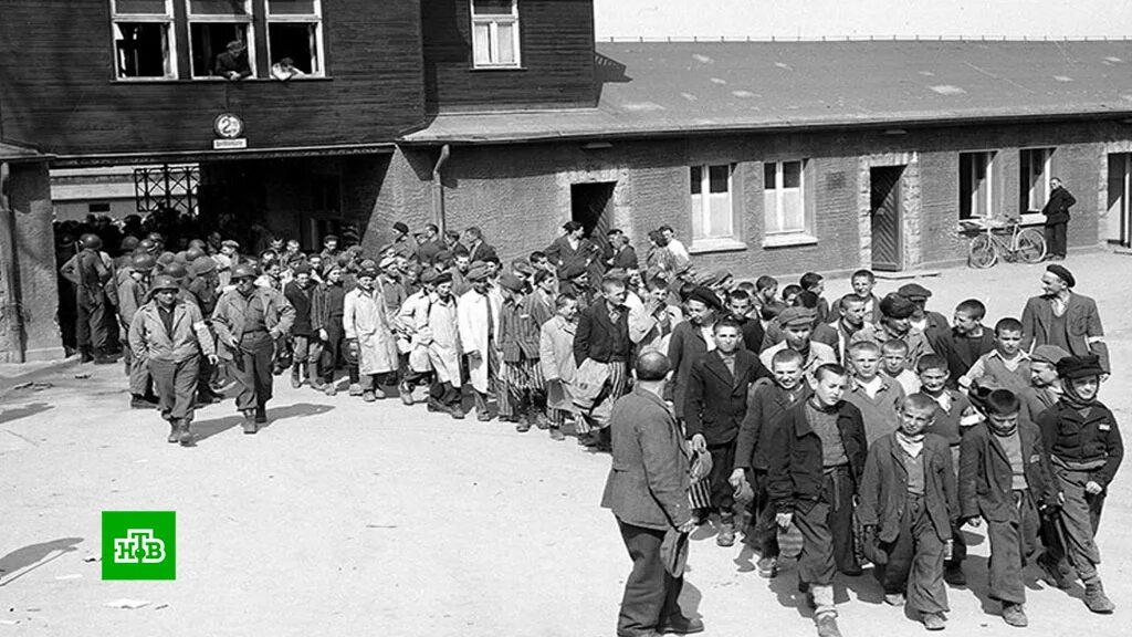 Включи концлагерь. Включи концлагерь. Освенцим треблинка бухенвальд дахау майданек. Аушвиц бухенвальд концлагерь. Аушвиц бухенвальд концлагерь.