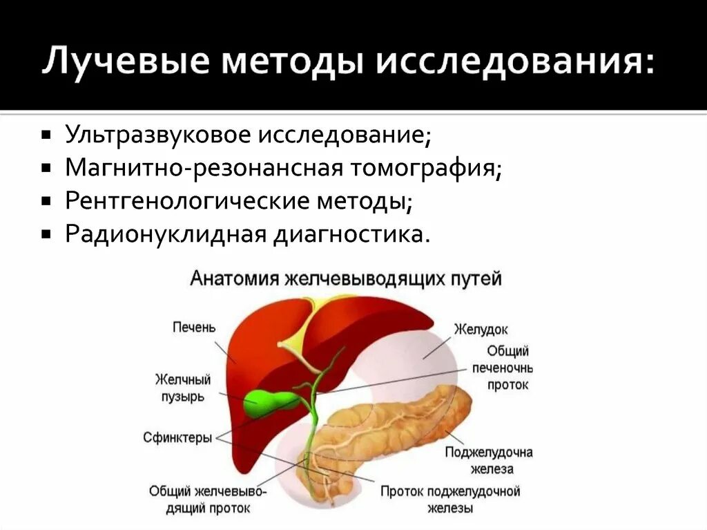 Болезни желчного протока. Лучевые методы исследования печени и желчного пузыря. Методы лучевого исследования желчных протоков и печени. Заболевания печени и желчевыводящих путей. Заболевания желчных путей и печени.