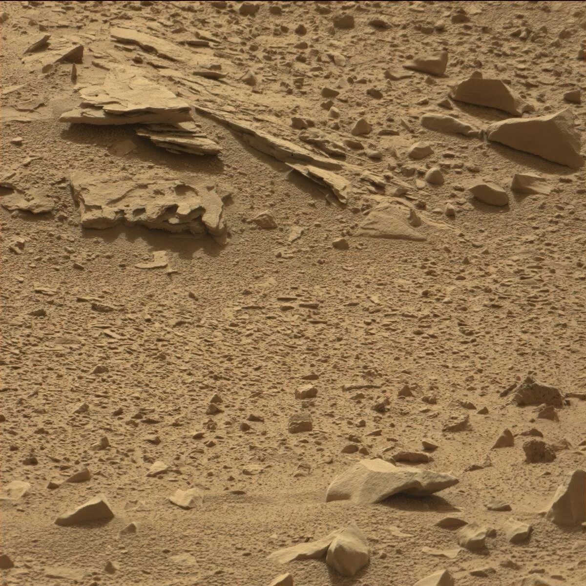 Mars sol