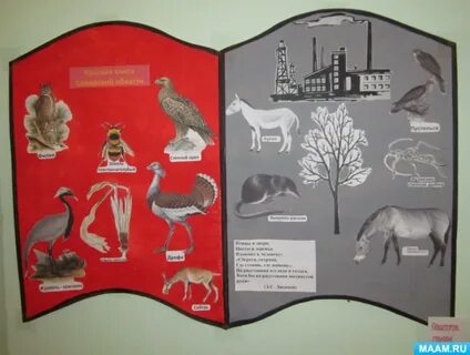 Красная книга в детском саду