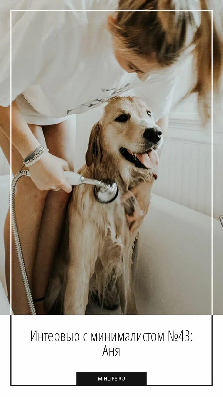 Mobile dog groomer. You the dog washing are. You the dog washing are. Помывка собаки. Собака моется.