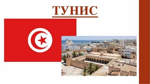 Экономика туниса