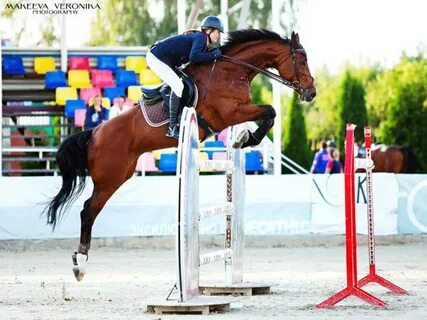 Спортсмен на коне