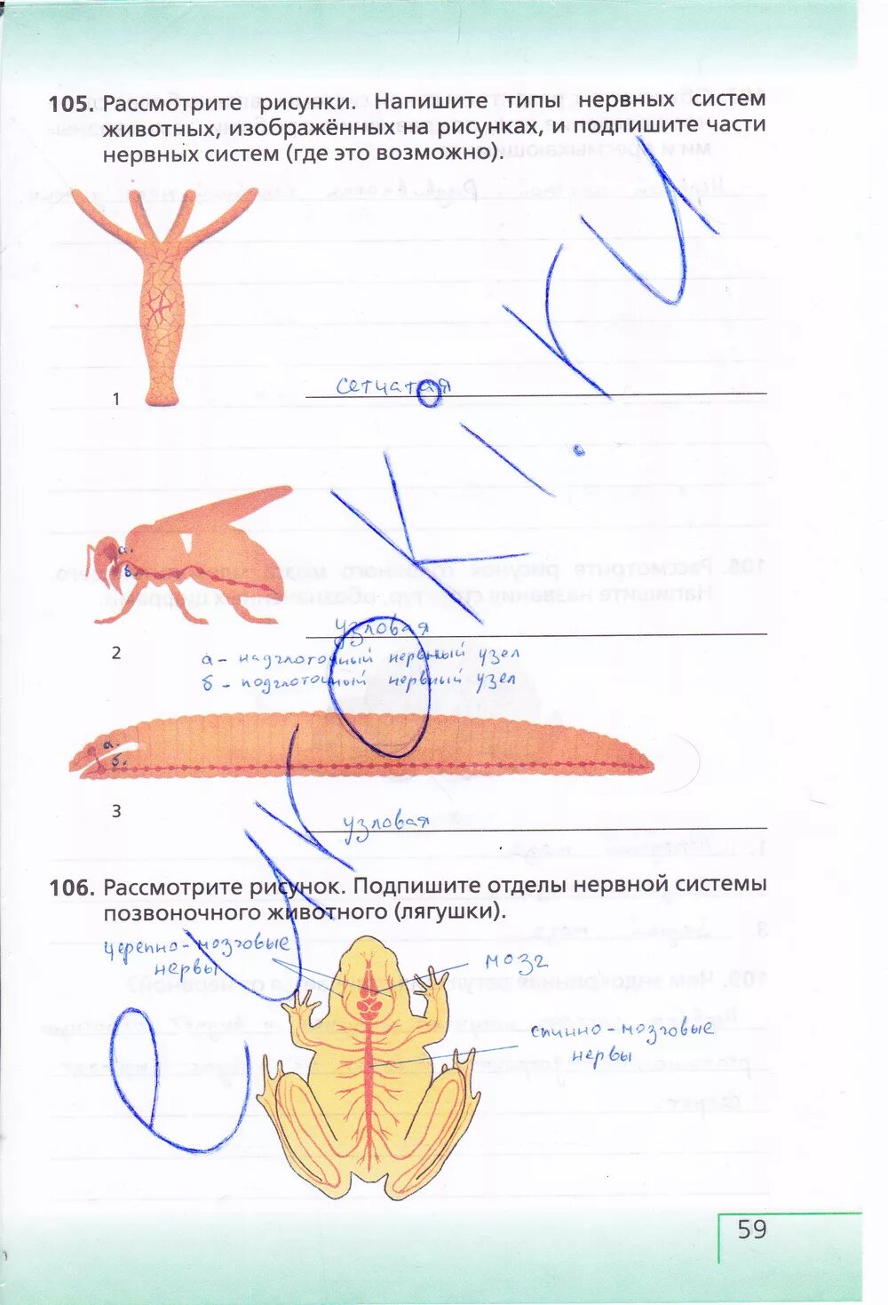 Рассмотрите рисунок 6