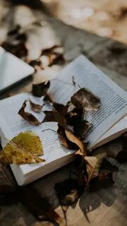 Книга осень
