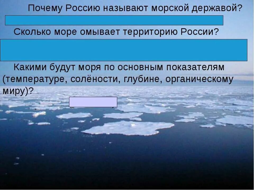 Какие берега омывают россию. Моря омывающие Россию презентация. Почему Россию называют морской державой. С севера территорию России омывают моря. Количество морей омывающих территорию России.