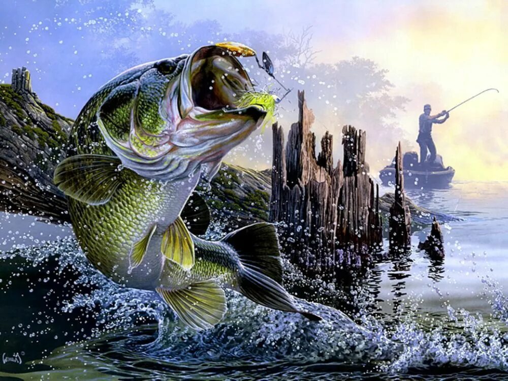 Фон щука. Ал Агнев картины с рыбами. Фотообои рыбалка на стену. Изображение щуки. Обои на рабочий стол рыбалка.