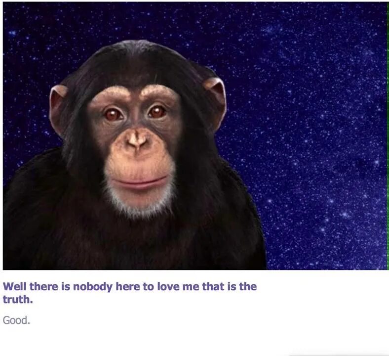 Chim bot. Звуки обезьян. Чат бот обезьяна. Робот ава. Телеграм бот.