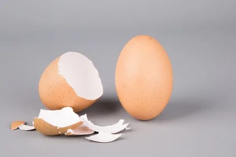 Egg. 