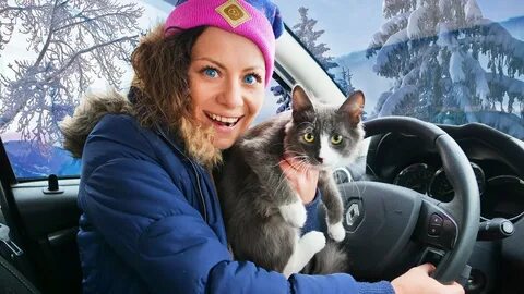Алиса едем