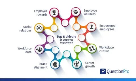 Our rewards