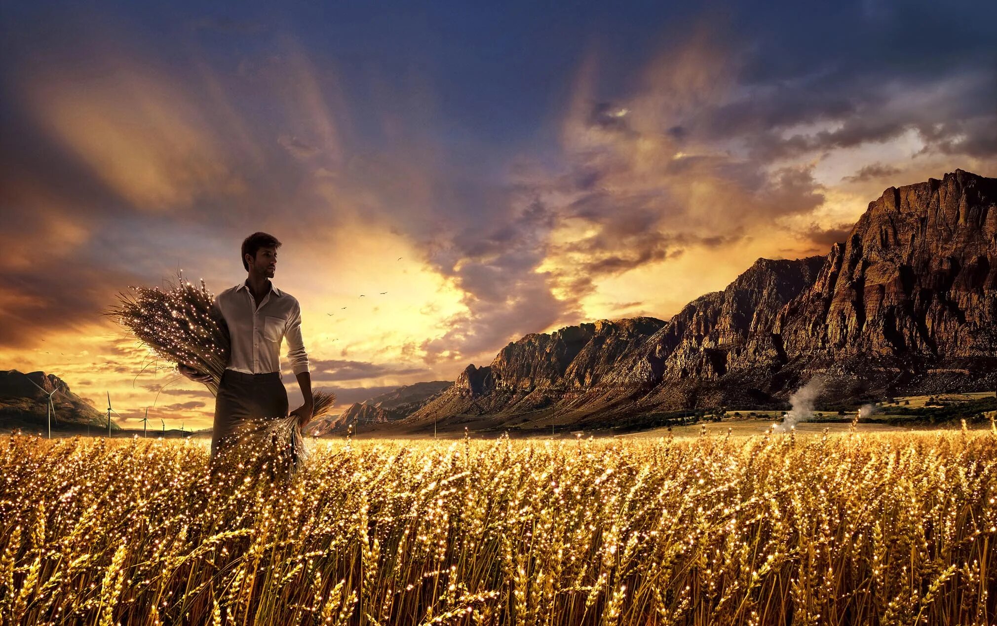 Посеять в душе. Пшеничное поле человек. Мужчина в поле. Мужчина в пшеничном поле. Мужская фотосессия в пшеничном поле.