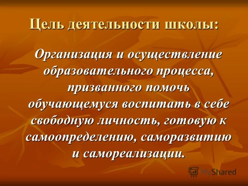 Основная цель образовательных учреждений. Цель деятельности школы. Цель работы школы. Основная цель работы школы. Цели образовательного учреждения.