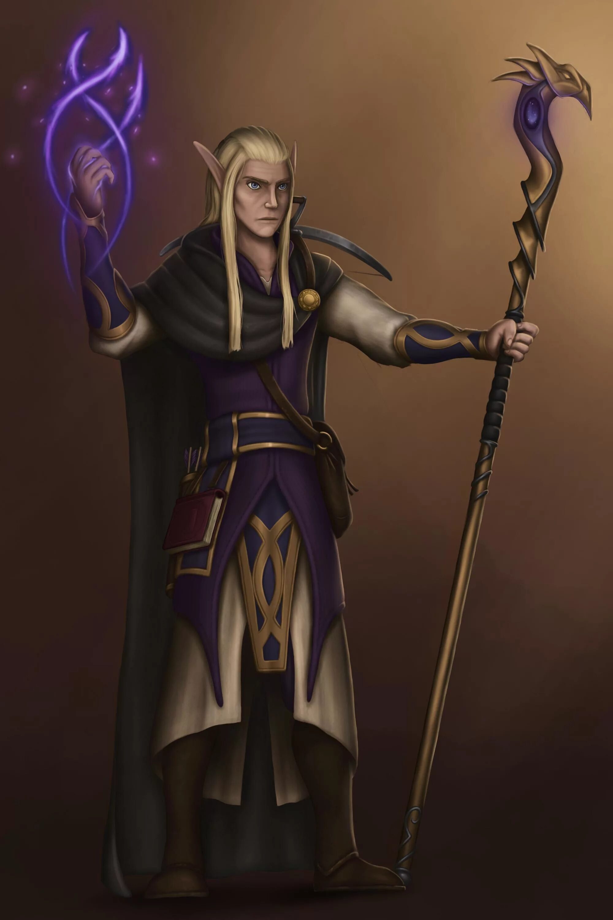 Guide wizard. Elven wizard гайд. dnd wizard. elf wizard. sea elf wizard.