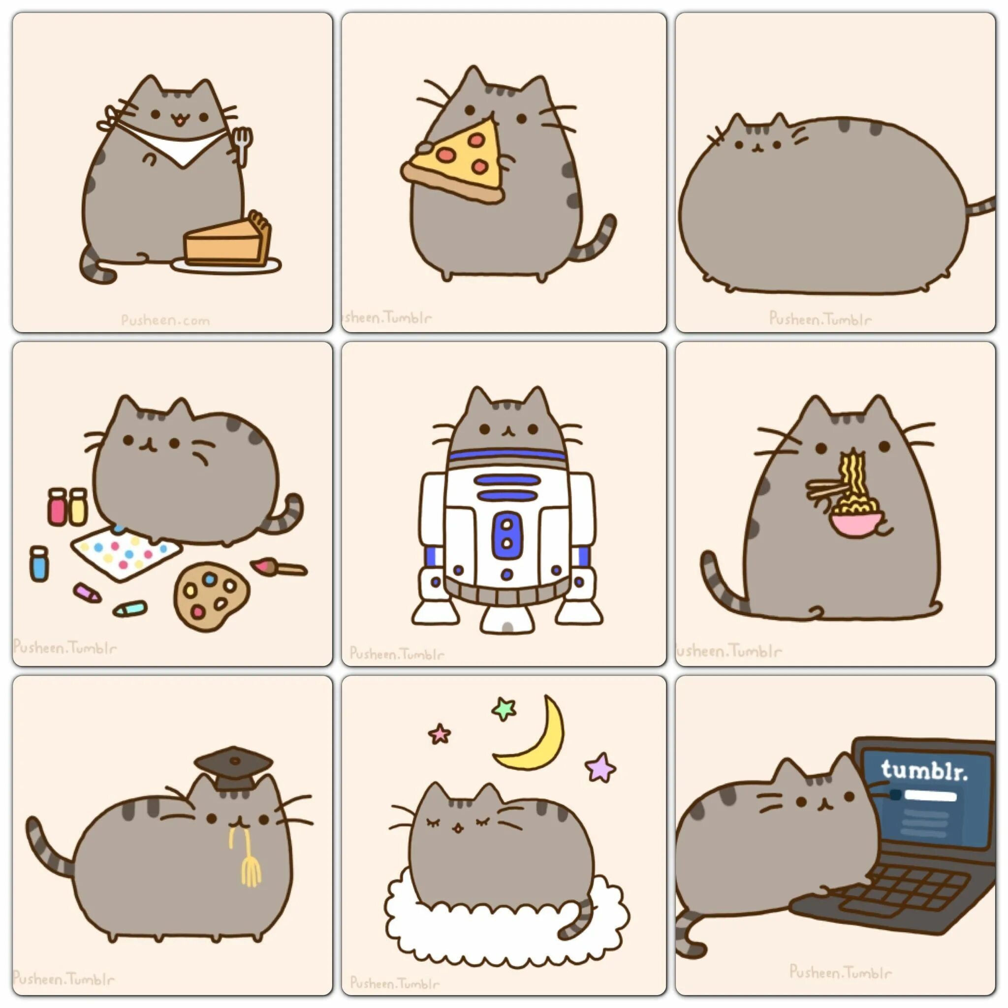 Идеи для личного дневника. Пушин кэт персонажи. Наклейки котики пушин. Кат л д. Кат л д.