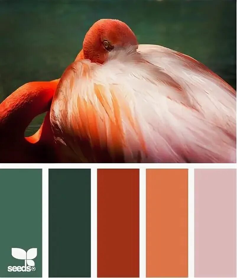 Pin by Наташа on Сочетание цветов Color palette bright, Color schemes colour pal