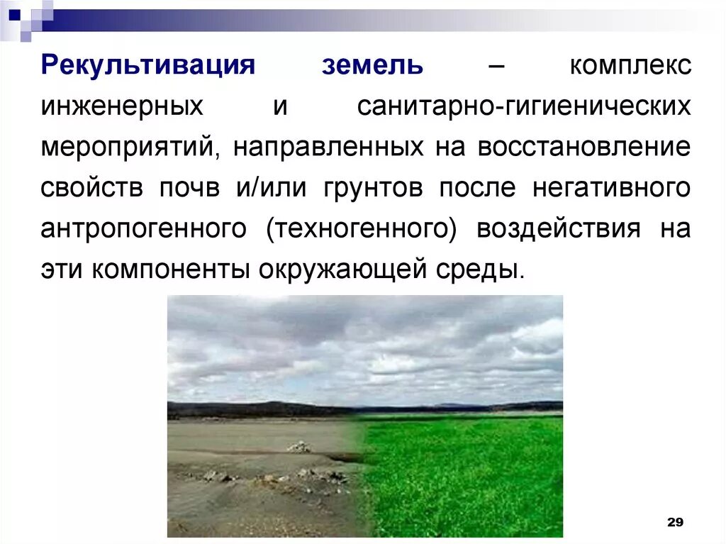 Рациональное природопользование рекультивация земель на месте карьеров