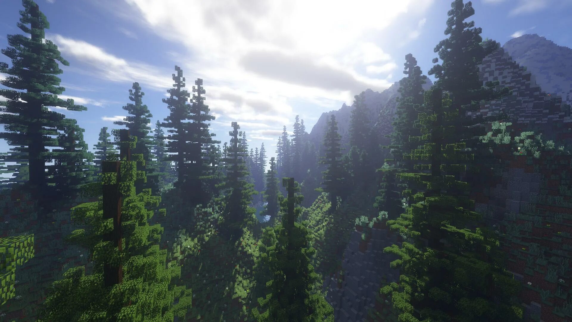Forest map minecraft