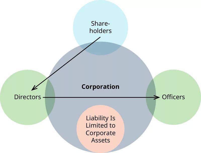 Company values. Corporate values. The Concept of Limited responsibility for Company. Business Judgment Rule.