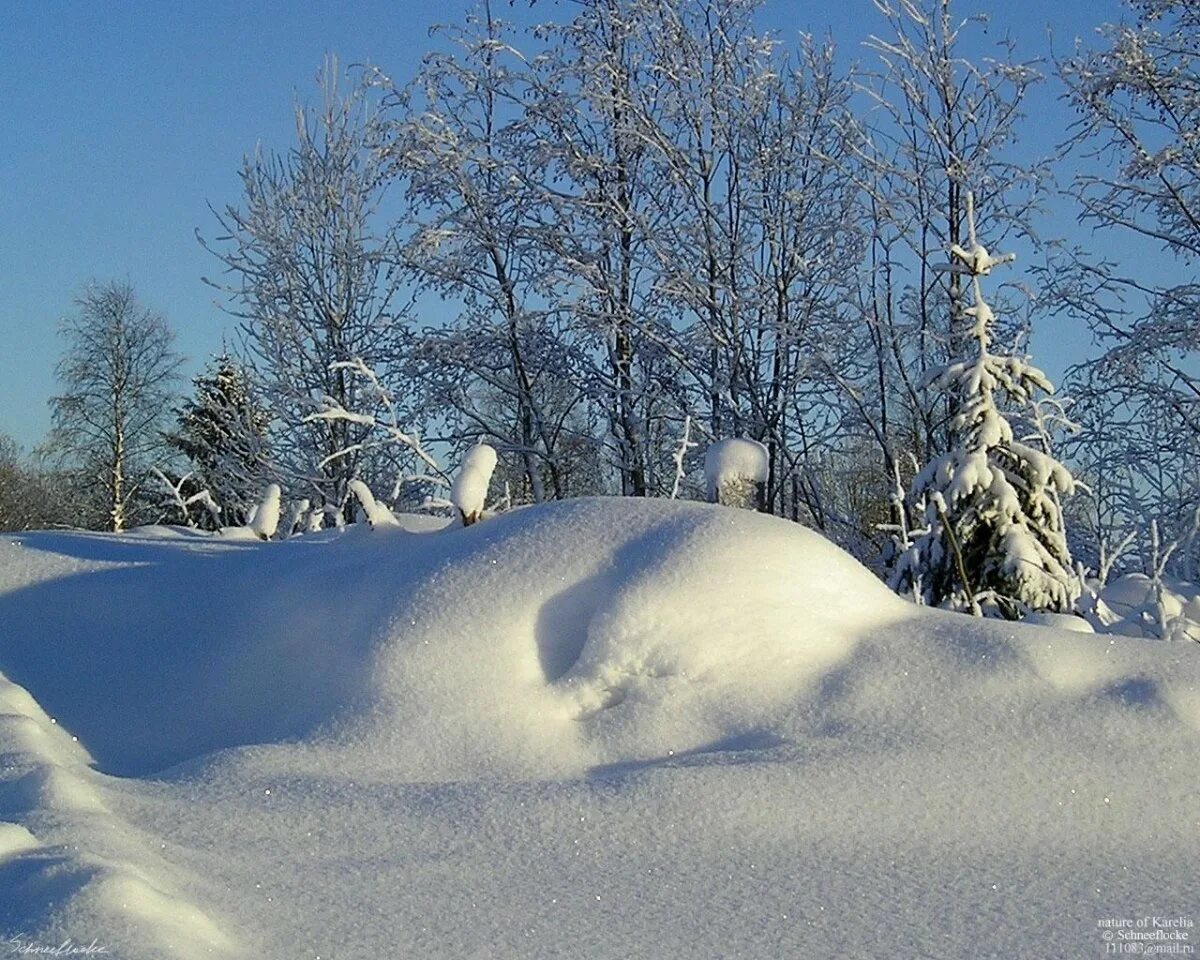 Сугроб. Снежные сугробы. Зима сугробы. Красивые сугробы.