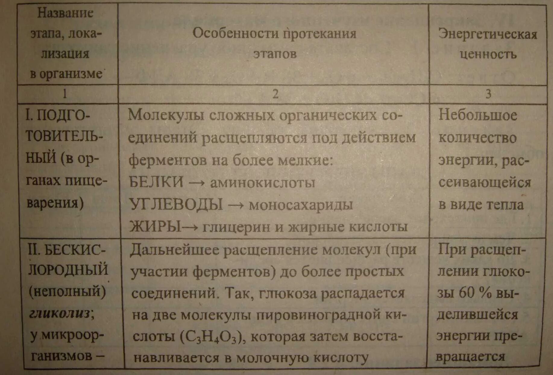 Подготовительный этап характеристика. Таблица по биологии 9 класс этапы энергетического обмена. Этапы энергетического обмена таблица 9 класс биология. Этапы энергетического обмена характерные изменения веществ. Характеристика этапов энергетического обмена таблица.