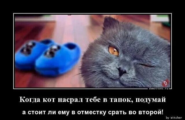 Сделать в отместку