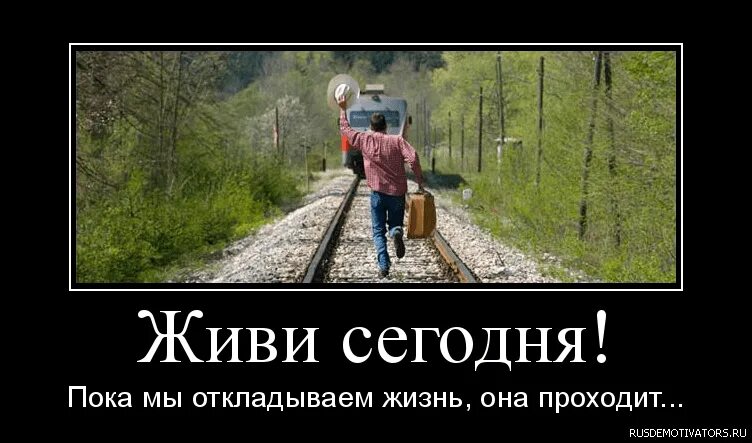 Живой остановиться