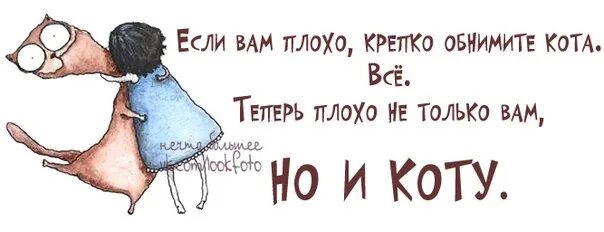 Если вам плохо обнимите кота. Если тебе плохо обними кота. Если вам плохо крепко обнимите кота. Обнимаю юмор. Хочу чтоб меня обняли