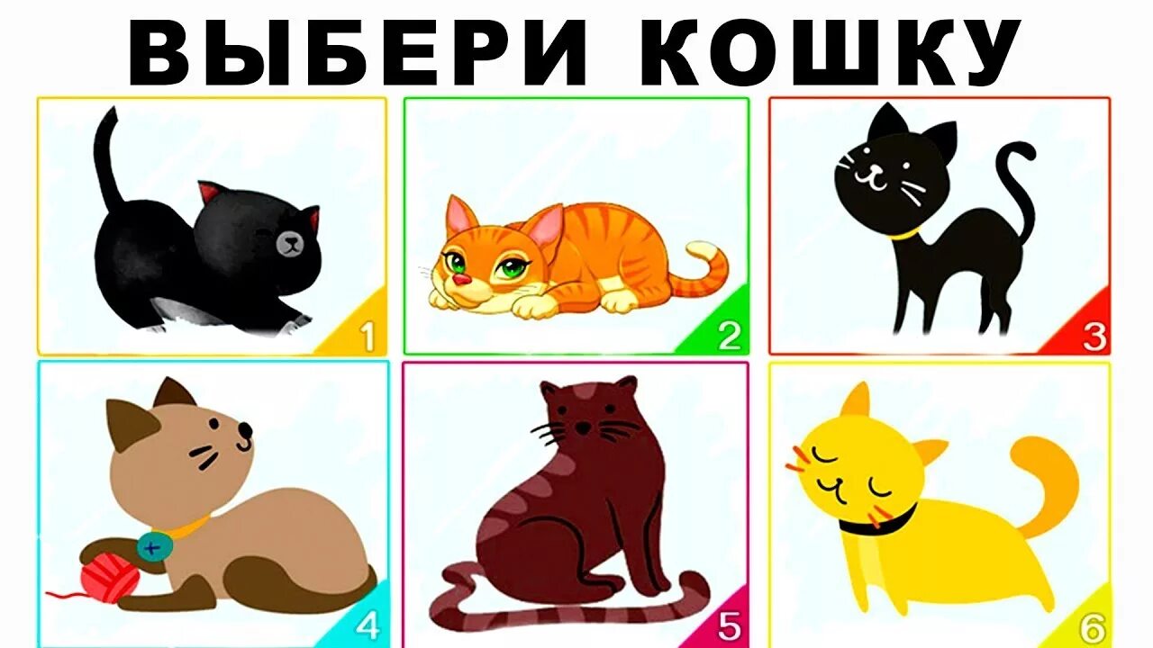 Как подобрать кошку. Выбери кошек. тест выбери кошку. тест про кошек. тест личности выберите кошку.