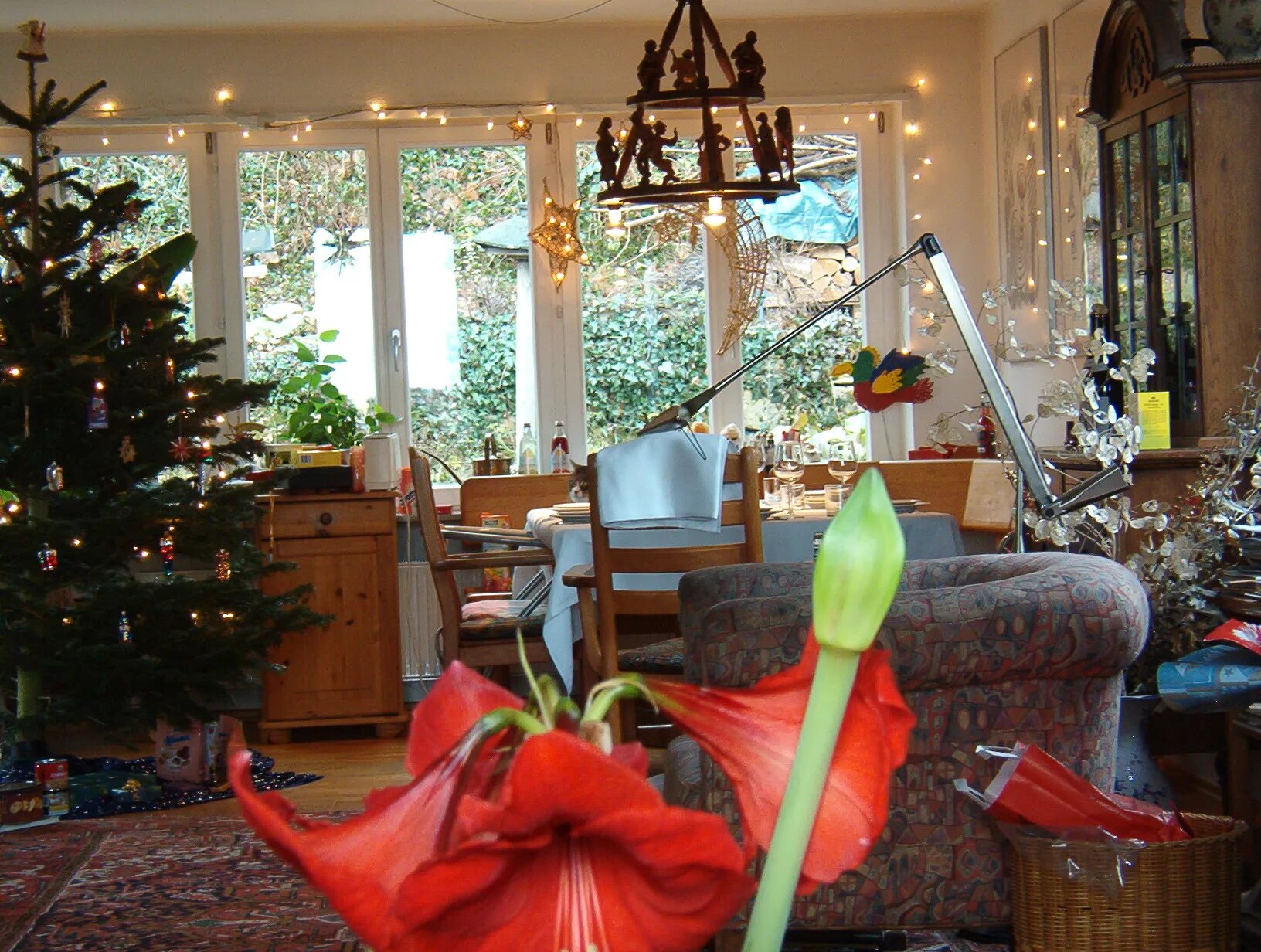 найди кота 1