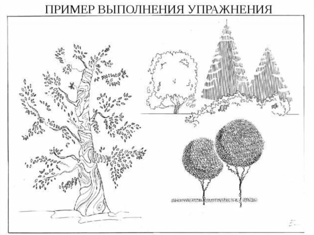 Песня антураж. Деревья по архитектурной графике. стаффаж деревья. антураж стаффаж деревья. антураж стаффаж кусты.