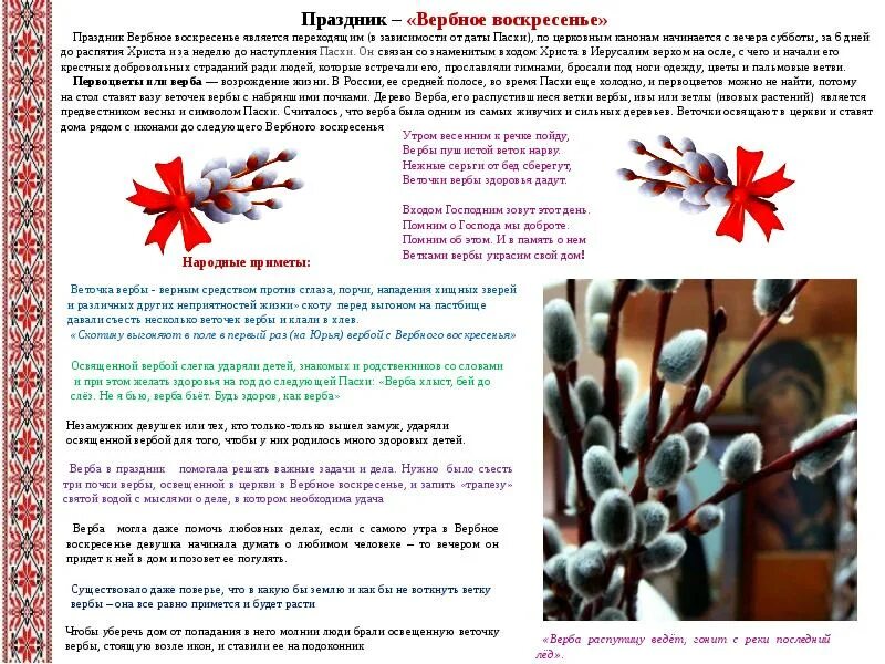 Вербное воскресенье сообщение. Ппррмееты на Вербное воскресенье. Вербное воскресенье приметы. Верьеное Воскресение приметы. Краткая история Вербного воскресенья.