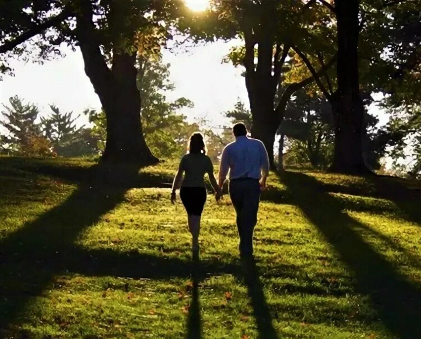 Двое гуляем. Парень и девушка гуляют. Прогулка по парку. Гулять по парку. Фотосессия прогулка в парке.