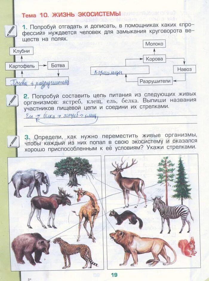 Рабочая тетрадь окружающий мир 3 класс Вахрушев Борисанова. Окружающий мир 3 класс рабочая тетрадь 1 часть Вахрушев. Гдз окружающий мир 3 класс рабочая тетрадь Вахрушев 1 часть. Вахрушев окружающий мир рабочая тетрадь.