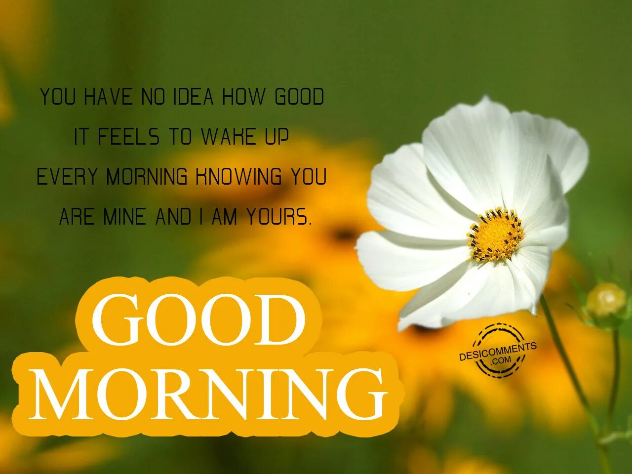 How be good. Гудмонин. гуд монинг эдди мерфи. гуд монинг хау а ю. good morning every day.
