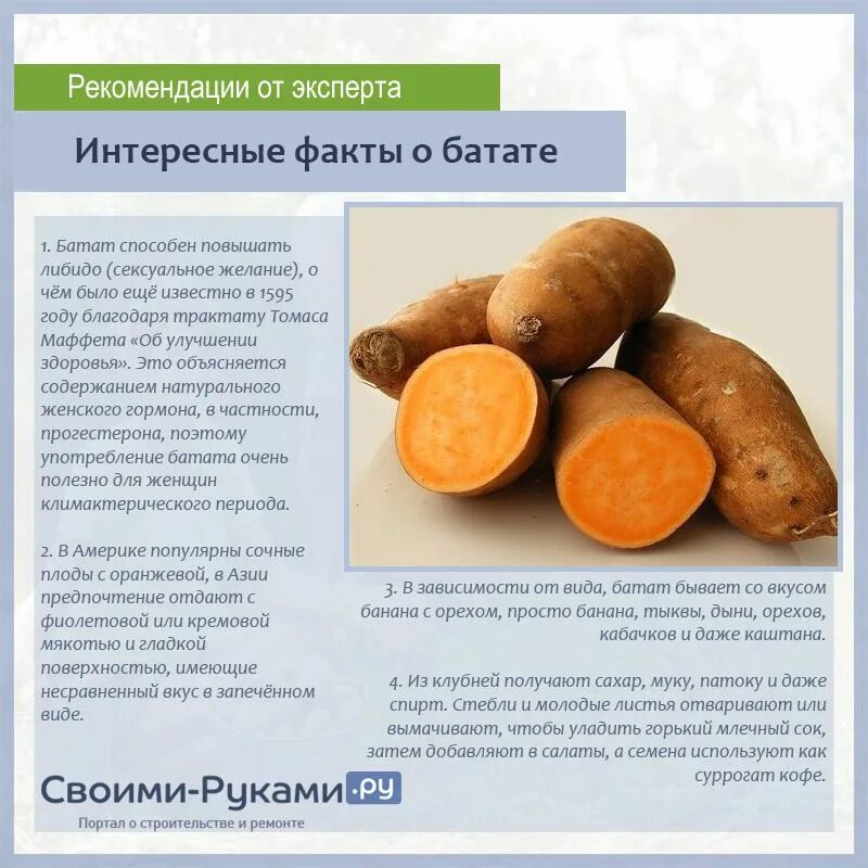 Батат бжу. Батат корнеклубень. сладкая картошка батат. чем полезна сладкая картошка батат. чем полезен сладкий картофель.