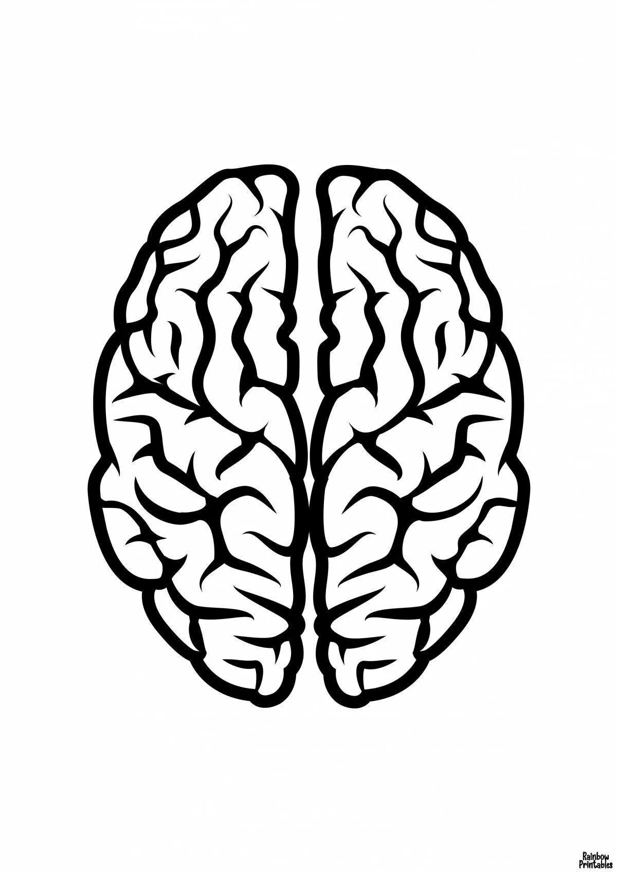 Рисунок мозга легко. Мозг трафарет. Мозг контур. Мозг нарисованный.