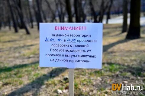 Пойду обрабатывать