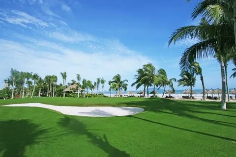 Ocean sonic resort