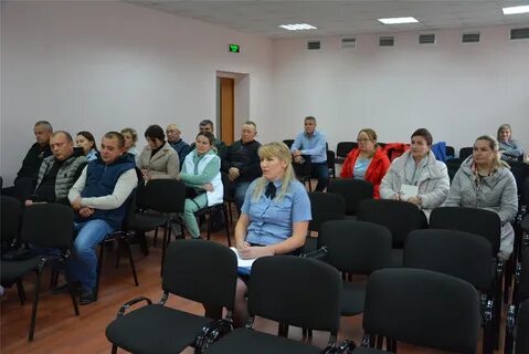 Руководитель содействия