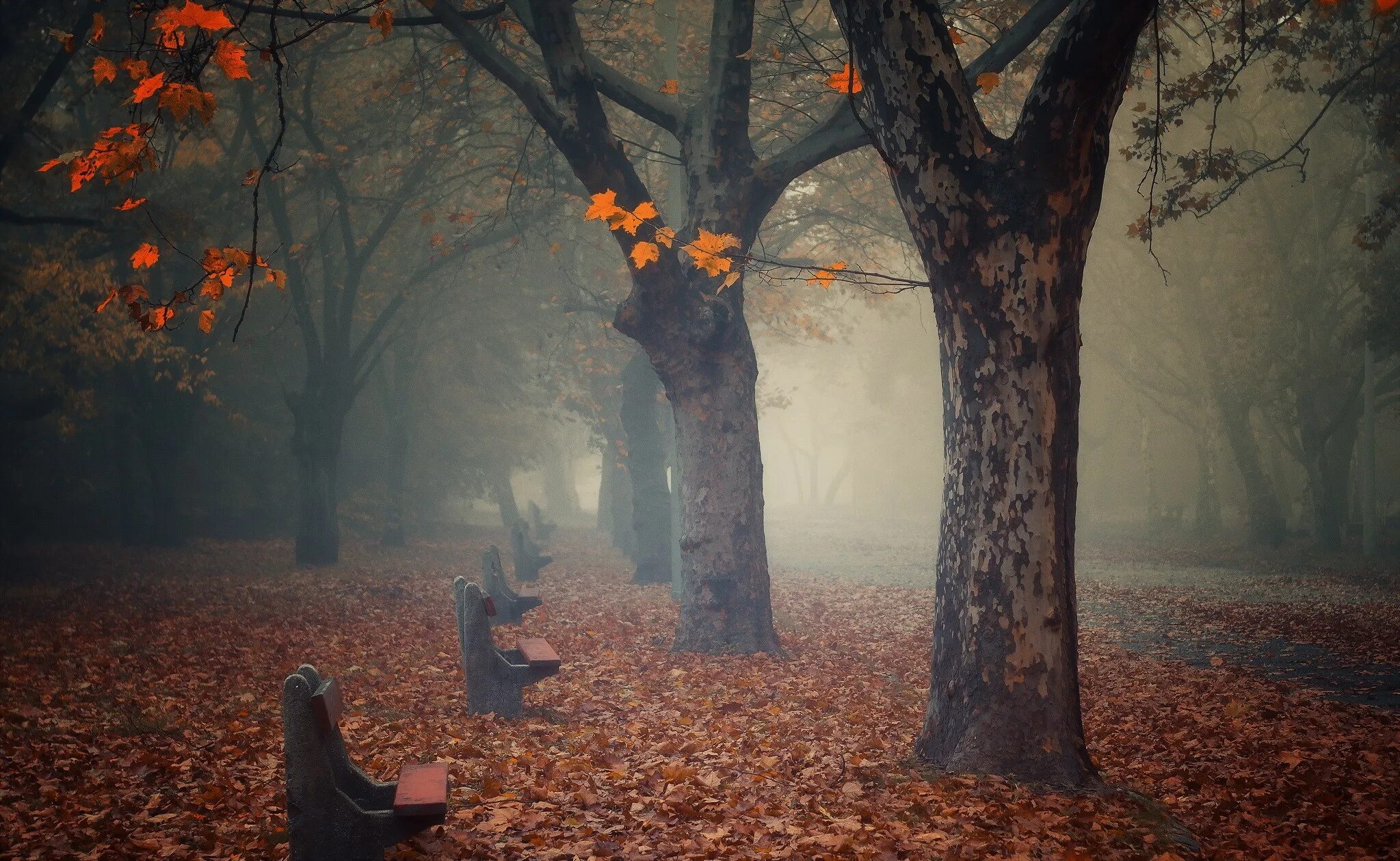 Осень без людей. Осенний парк. Грустная осень. Мрачный осенний парк. Хмурый осенний парк.