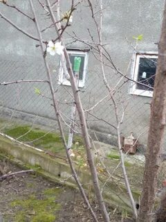 Подслушано сочи