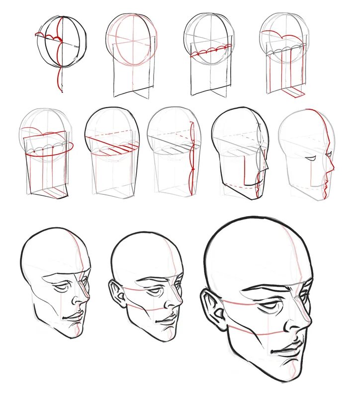 Лицо рисунок поэтапно. Рисунок головы в разных ракурсах. Рисование лица в разных ракурсах. Анатомия головы человека для рисования. Схема рисования головы.
