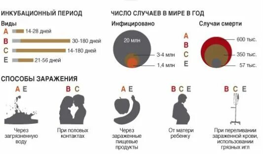 Гепатит с контракт. Инкубационный период гепатита с. Инкубационные сроки гепатитов. Гепатиты и сроки инкубации. Гепатит и армия.