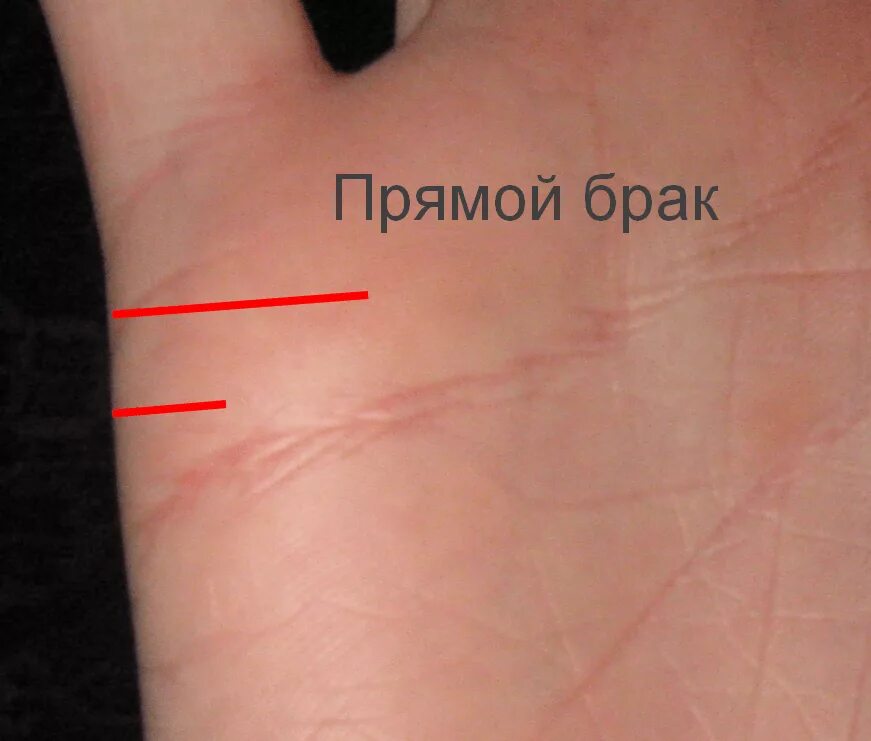 Как узнать сколько детей по судьбе