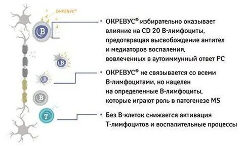 Окревус инструкция по применению отзывы